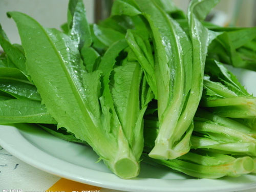 �������߲�����